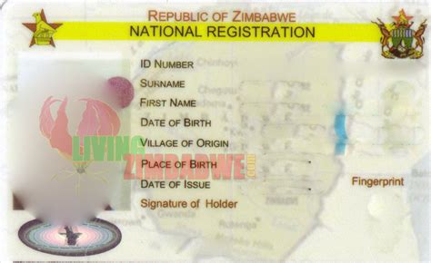 Passport Forms Online Zim