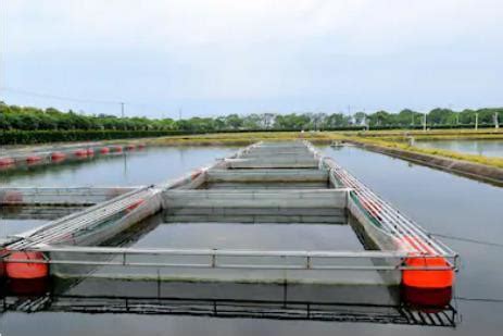 Floating Cage In Pond At Commercial Aquaculture Farm Buoys Orange