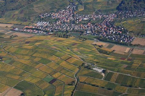 Luftaufnahme Pfaffenweiler Badischer Wein Weinanbau Auf Dem Rebberg