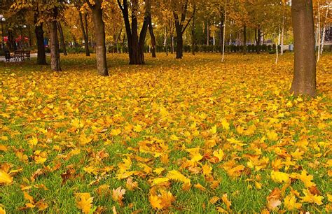 Autumn Seasons Colors October Photo Background And Picture For Free ...