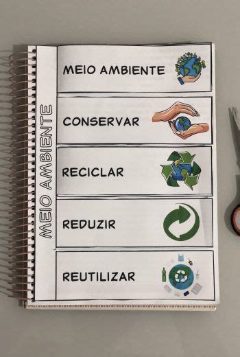 Kit Meio Ambiente Kit S Escola Atividades Meio Ambiente Projeto