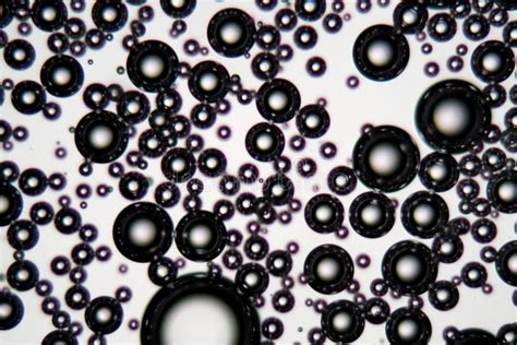 Air Bubbles in an Surfactant Fluid Under a Microscope Stock Photo ...