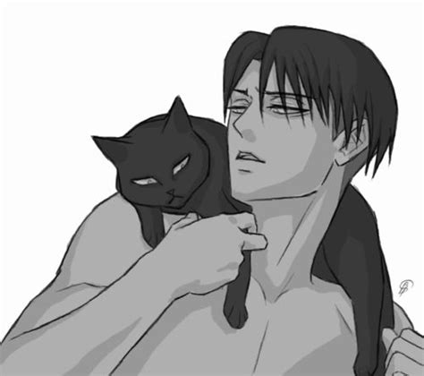 Levi Cat By Ralipb Levi Ackerman Fan Fiction Attack On Titan Fanart