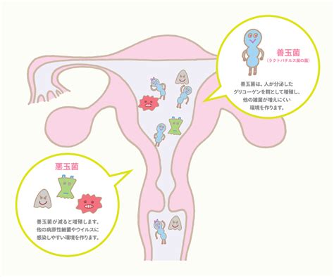 移植周期① Bt12 判定日②ホルモン補充pgt A Miffy Mamaの2人目不妊治療新橋夢クリニックand杉山産婦人科新宿