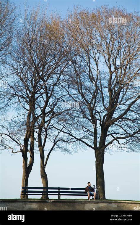 Chicago Illinois Man Sit On Park Bench Between Trees Lake Michigan