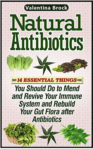 Natural Antibiotics Essential Things You Should Do To Mend And