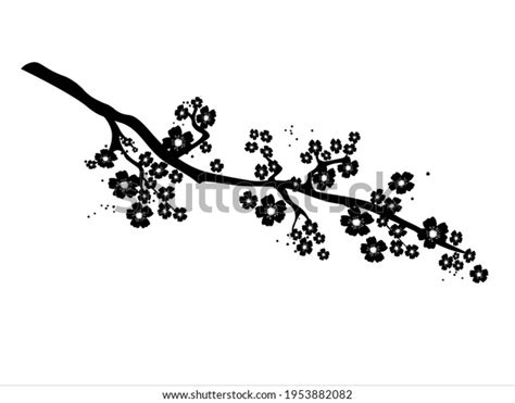 Japanese Sakura Blossom Branch On White Stock Vector Royalty Free