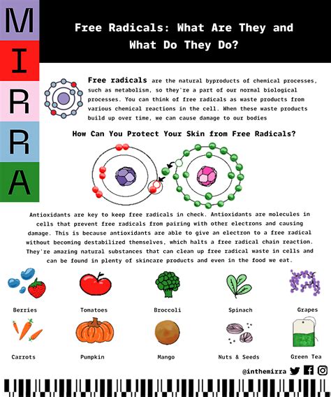 Free Radicals: What Are They and What Do They Do? – MirraSkincare