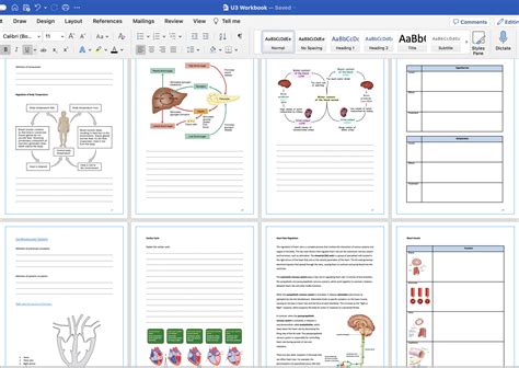 Btec L Health And Social Care Unit Anatomy And Physiology For