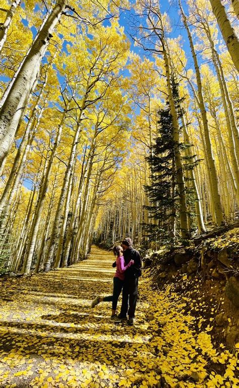 Lockett Meadow 37 Photos Flagstaff Arizona Campgrounds Yelp