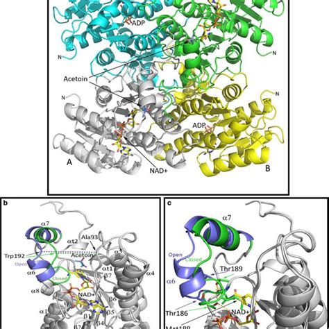 2 3 Butanediol Dehydrogenase Activity Of Purified Bdh Enzyme Variants