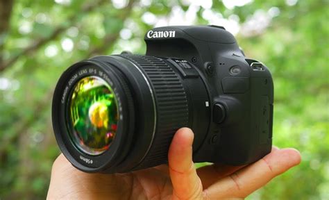 What Are The Best Beginner Camera For Nature Photography