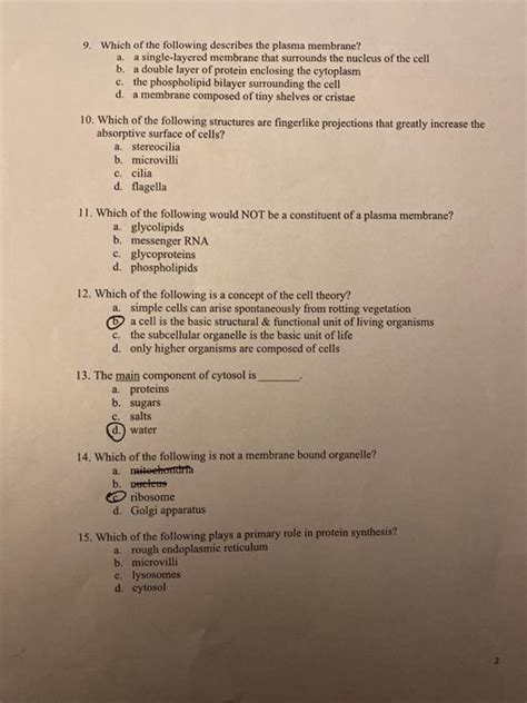 Solved Which Of The Following Describes The Plasma Chegg