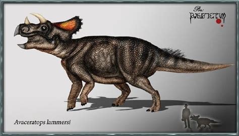 Avaceratops - Alchetron, The Free Social Encyclopedia