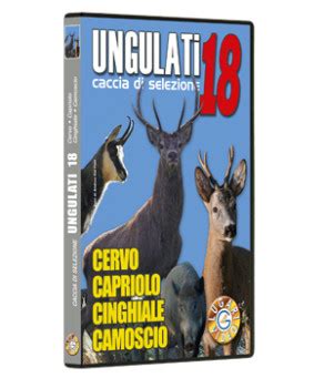 Caccia Di Selezione Agli Ungulati Cervo Capriolo Cinghiale