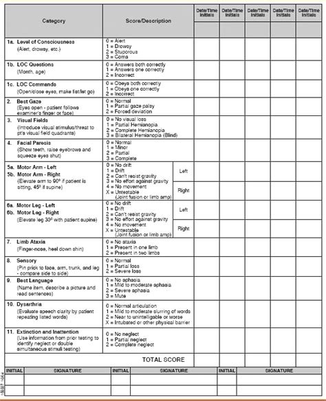 Nihss Stroke Scale Printable Pdf