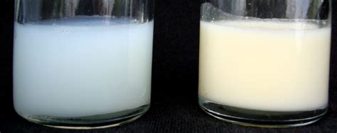 Color of Milk - La Leche League International