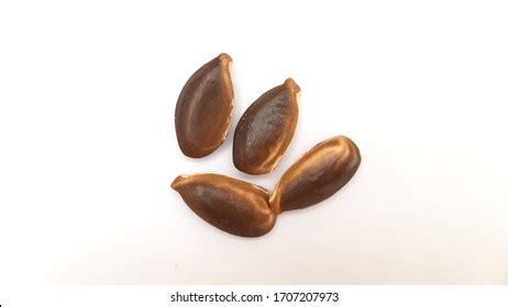 Chikoo Images, Stock Photos & Vectors | Shutterstock