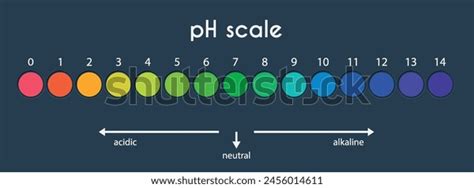 Ph Value Scale Chart Acid-alkaline Solution Stock Vector (Royalty Free) 2456014611 | Shutterstock