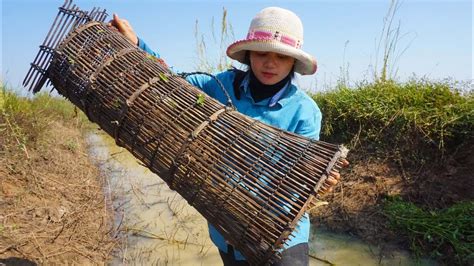 Using Bamboo Trap To Catch Fish YouTube