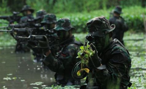 23 Urutan Pangkat TNI AD AL AU Beserta Tanda Kepangkatannya