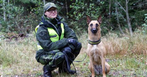 Hundpatruller Söker Försvunna Kvinnan Dala Demokraten