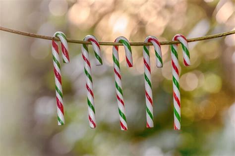 Premium Photo Close Up Of Multi Colored Candy Canes Hanging On Rope