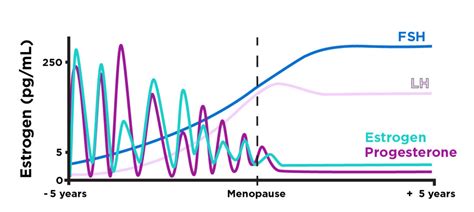 The Hormone Free Method To Help Support Healthy Menopause