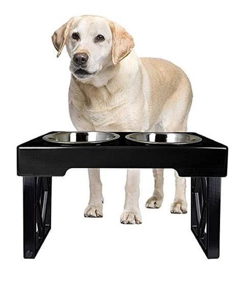 Pet-Zone-Designer-Diner-Adjustable-Elevated-Dog-Bowls | Dog Toys Advisor