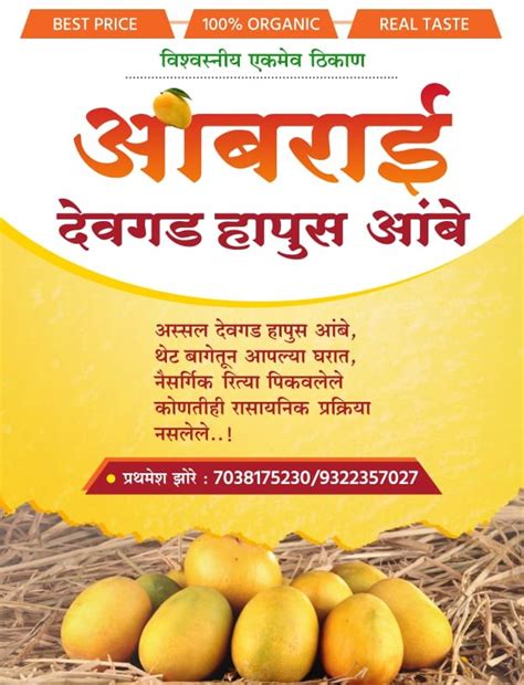 devgad alphonso hapus mango  dozen al aa  pune id