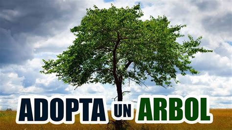 Como Adoptar Un Arbol Gratis YouTube