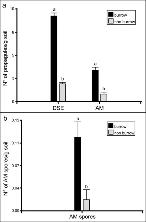 Abundance Of Root Endophytic Fungal Propagules In Ctenomys Burrow And