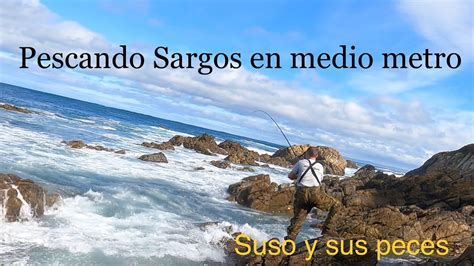 Pescando Sargos En Medio Metro Youtube