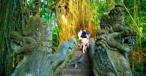 Ubud Wasserf Lle Batuan Tempel Affenwald Private Tour Getyourguide