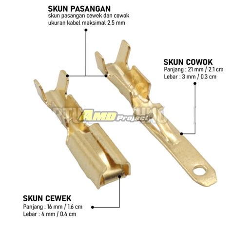 Jual Skun Gepeng Kecil Jantan Betina Male Female Soket Motor Set