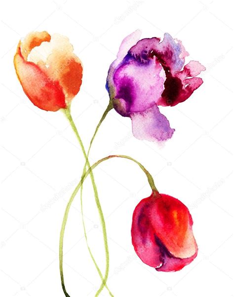 Beautiful Tulips Flowers Watercolor Painting Stock Photo Jershova