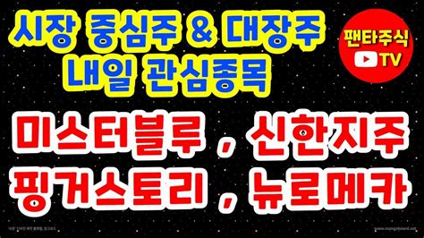 주식 대장주and 내일 관심종목미스터블루핑거스토리신한지주뉴로메카알체라아난티엔비티태경비케이이노룰스남성에이치피오