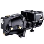 Everbilt Hp Shallow Well Jet Pump J A The Home Depot