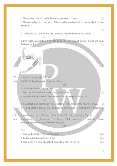 Class 6 Science Worksheets Chapter 8 Body Movements Physics Wallah