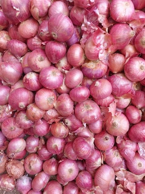 A Grade Cold Storage Red Onion Packaging Size 50 Kg Onion Size