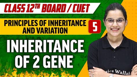 Principles Of Inheritance And Variation Inheritance Of Gene