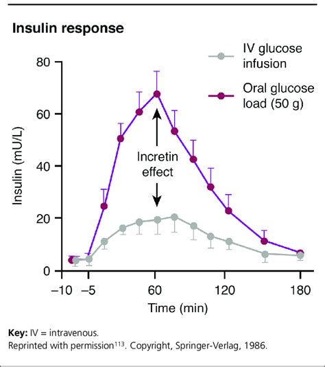 The incretin hormones play a crucial role in a healthy insulin response ...