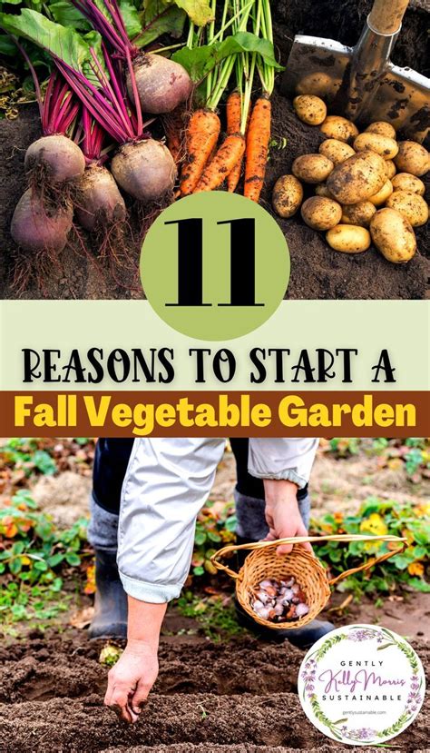 When To Start Your Fall Vegetable Garden Artofit