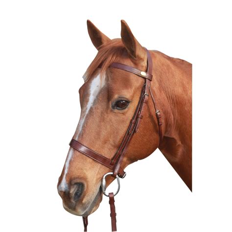 Mcalister Flat Cavesson Bridle Ranges Country