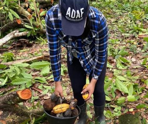 Adaf retira de circulação cerca de 3 4 mil litros de agrotóxicos