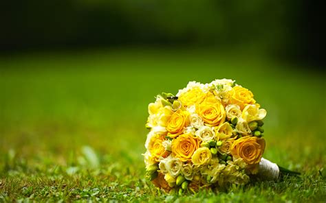 Download Wallpapers Yellow Wedding Bouquet Flowers On The Grass