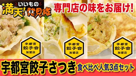 ハンカチ 影 チーム 宇都宮 餃子 さつき セット 馬鹿 ひいきにする つなぐ