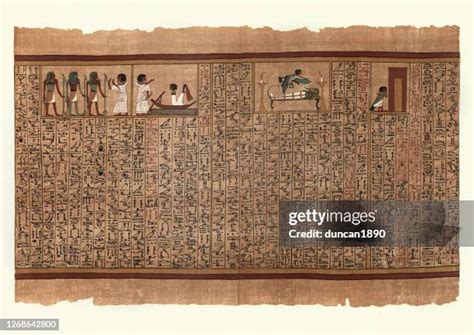 4505 Egyptian Mummies Stock Photos High Res Pictures And Images