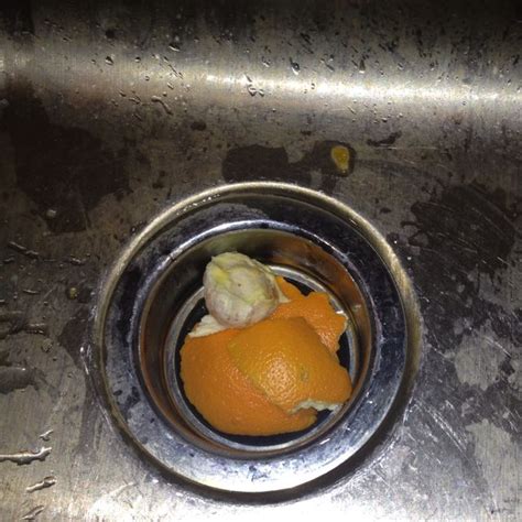 Keep Your Garbage Disposal Smelling Fresh By Putting Orange Peels In