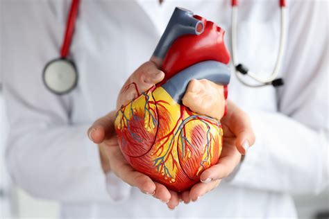 Cardiologists And Cardiac Services South Denver Cardiology